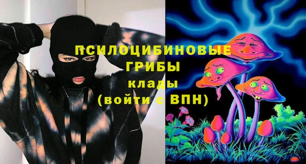 Альфа ПВП Лиски