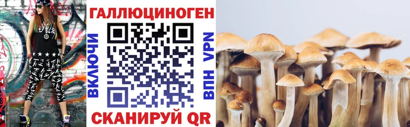 Галлюциногенные грибы ЛСД  Купить закладки  Калининец 